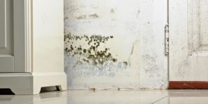 The Amazing Benefits of Air Purifiers