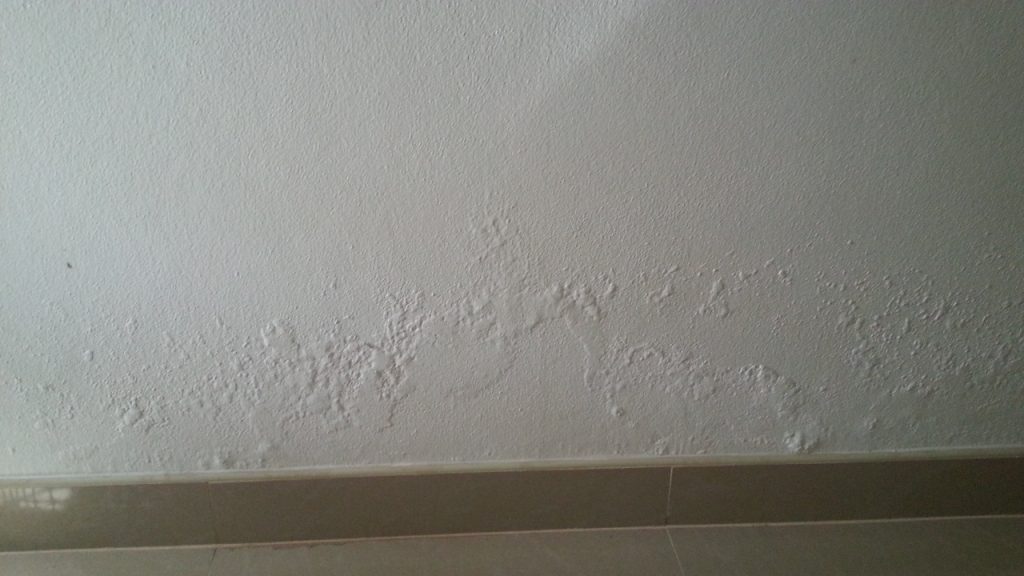 House Air Pollution: 5 Easy Ways to Reduce Indoor Toxicity