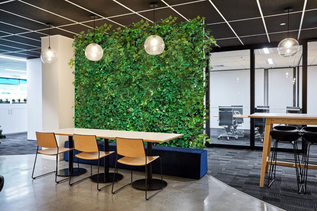 Plants in The Office Increase Productivity