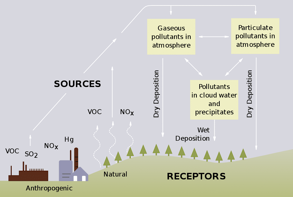 acid rain causes