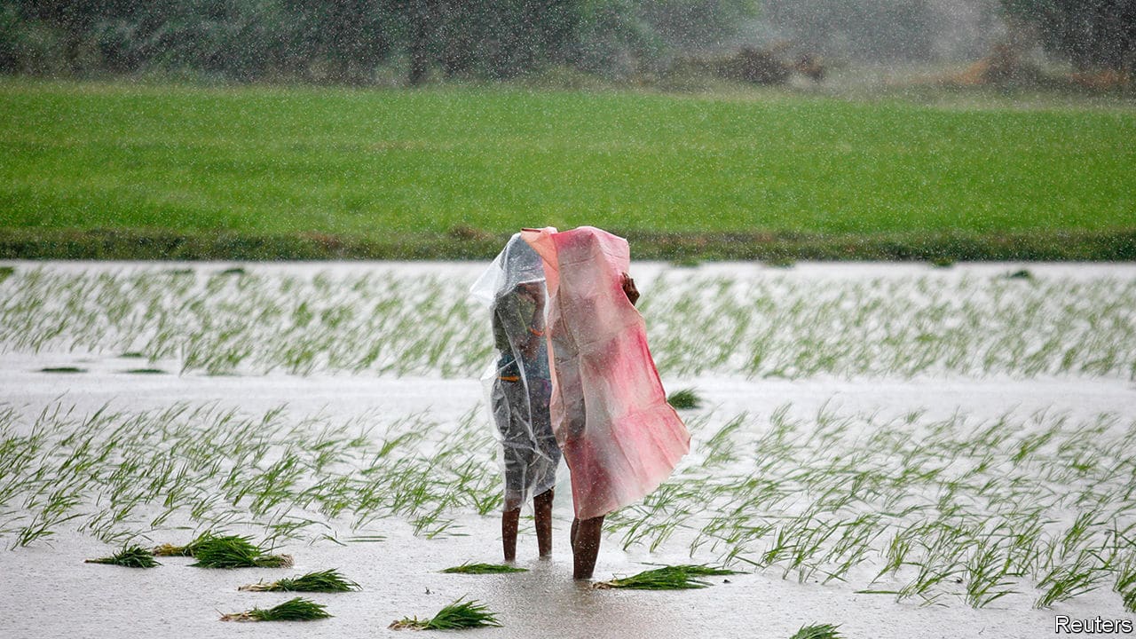 acid rain causes-prana air acid rain causes