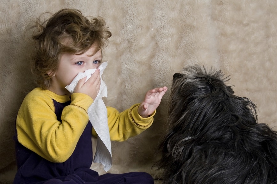5 Reason to Buy an Air Purifier to Beat Pollution