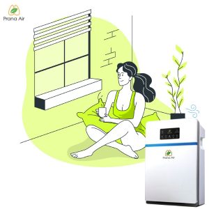 Top 4 Health Benefits of Air Purifiers