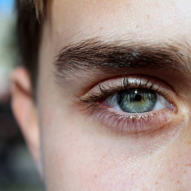 Human eye