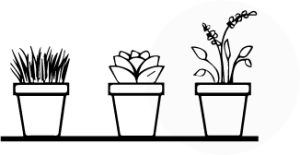 Realocar plantas de interior