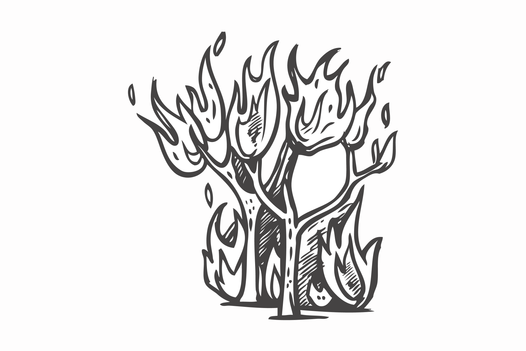 Monóxido de carbono (CO) proveniente de incêndios florestais