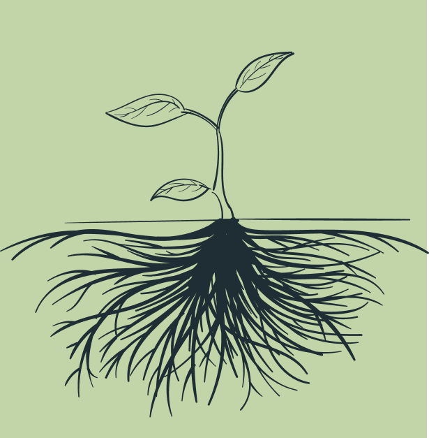 plant growth due to no2