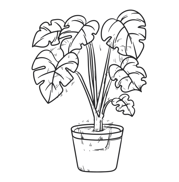 plante mais árvores