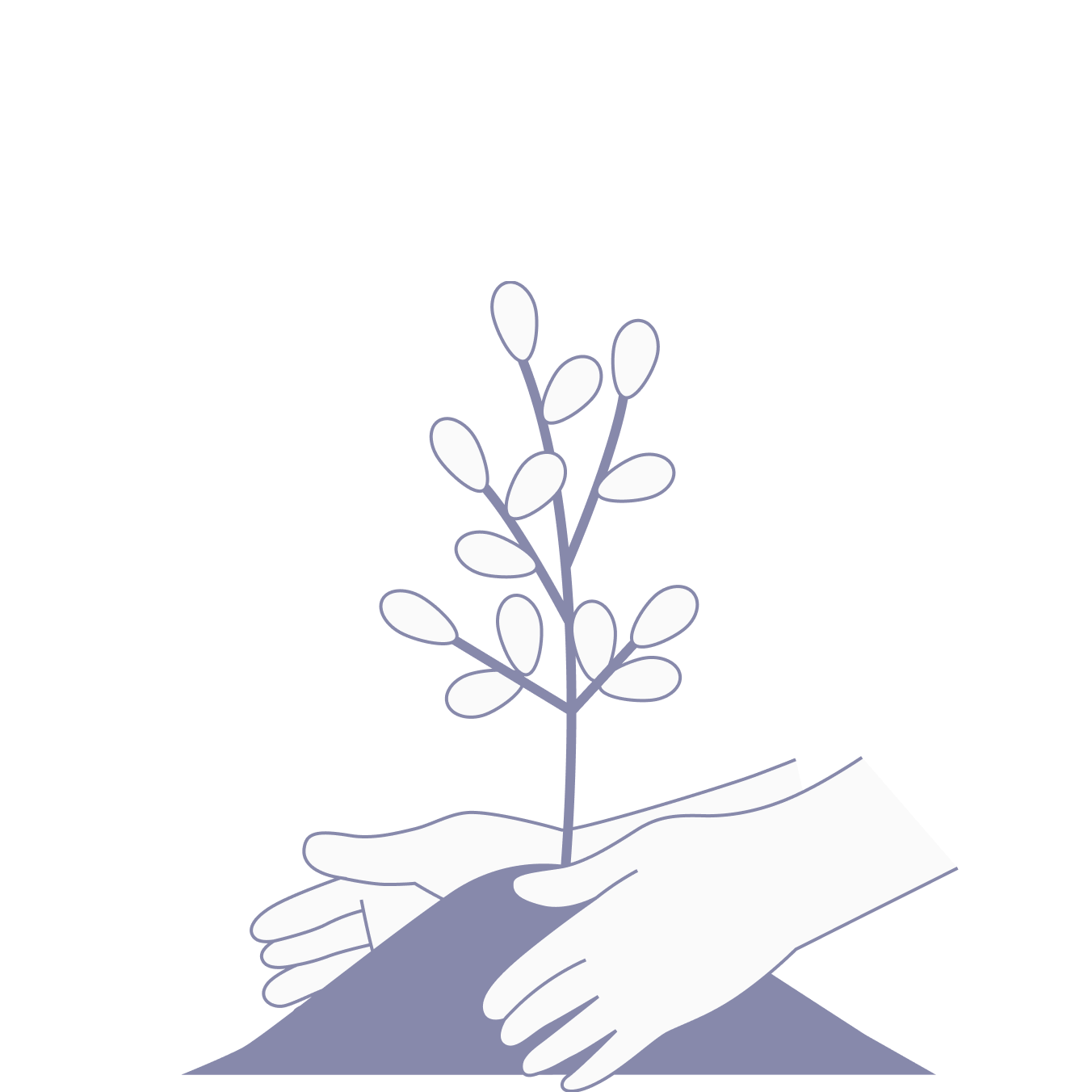 plantar árvores