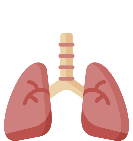 irritação respiratória