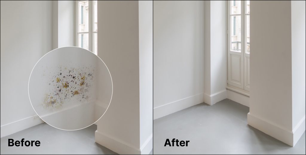 Mould growth after smart air quality monitoring
