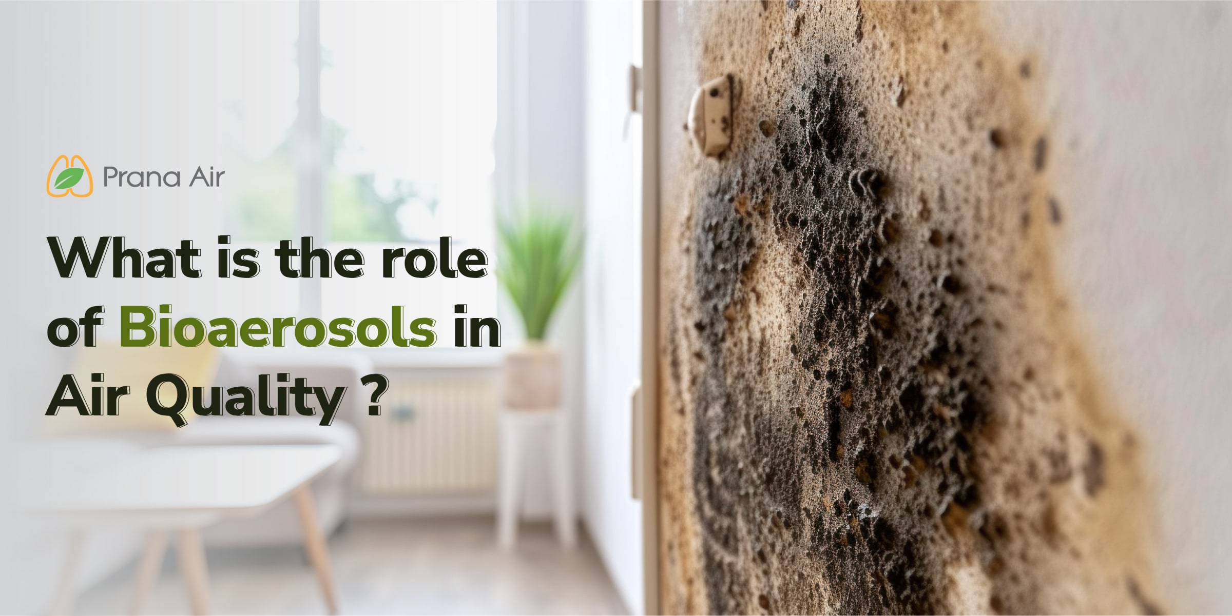 Bioaerosols in air quality The role of bioaerosols in air quality