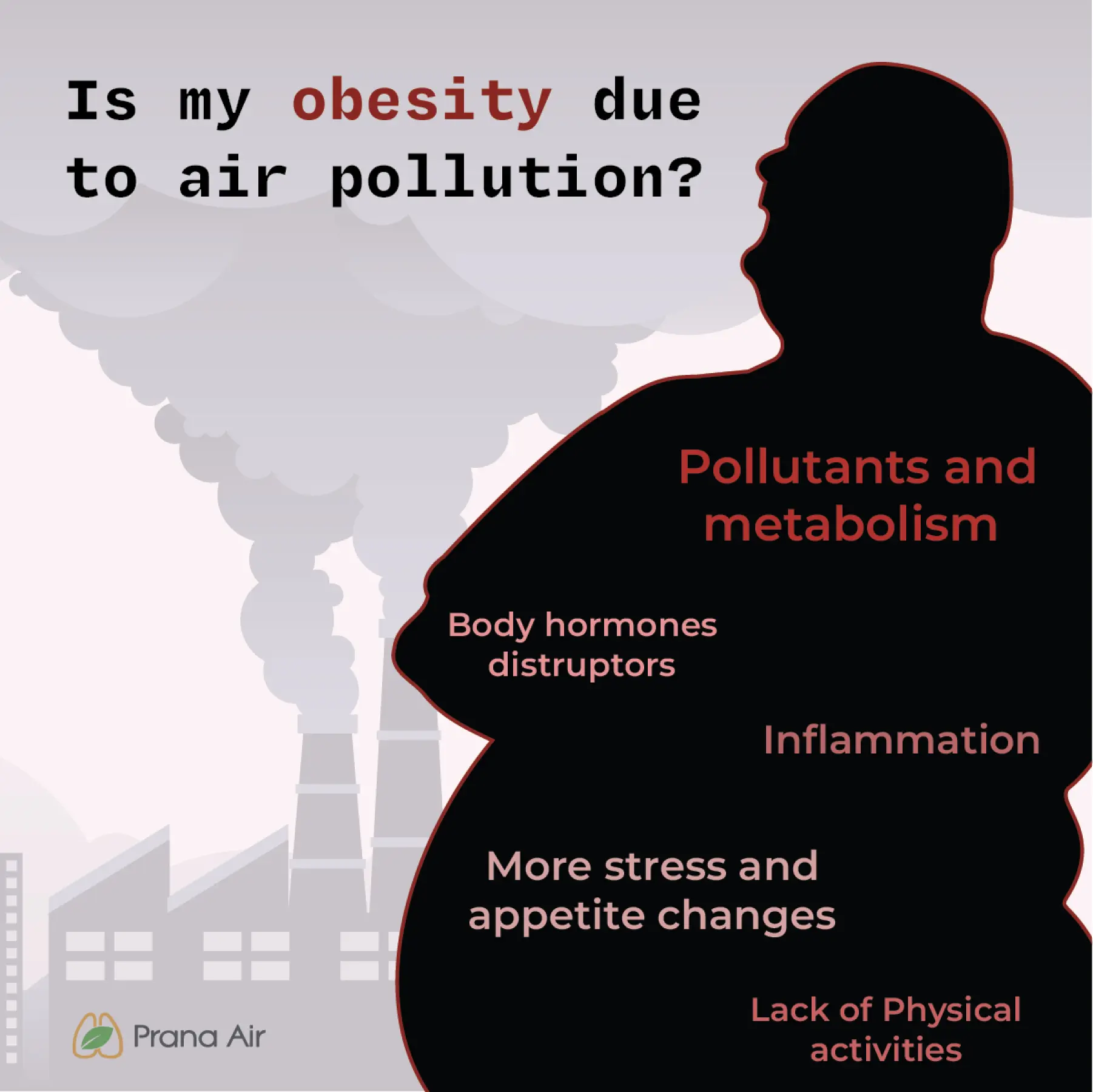 why obesity happen due to air pollution