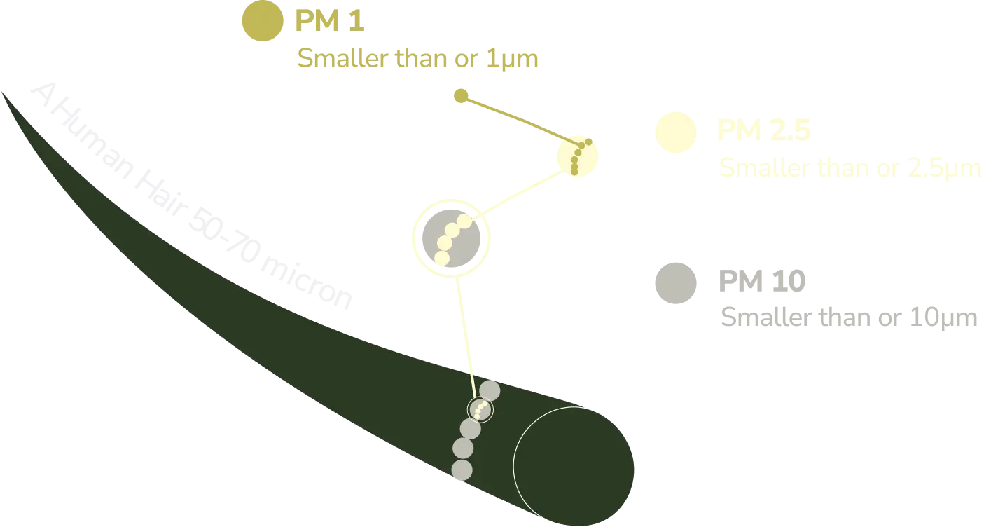 PM pollutant size comparison with human hair