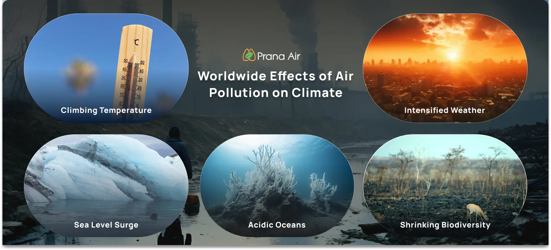 Understanding the Global Impact of Air Pollution on Climate Change