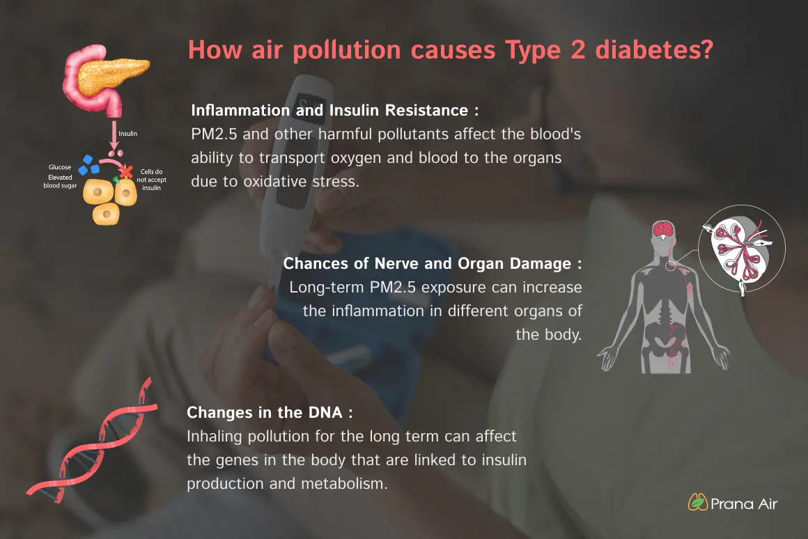 Study Reveals Strong Link Between Air Pollution and Type 2 Diabetes!