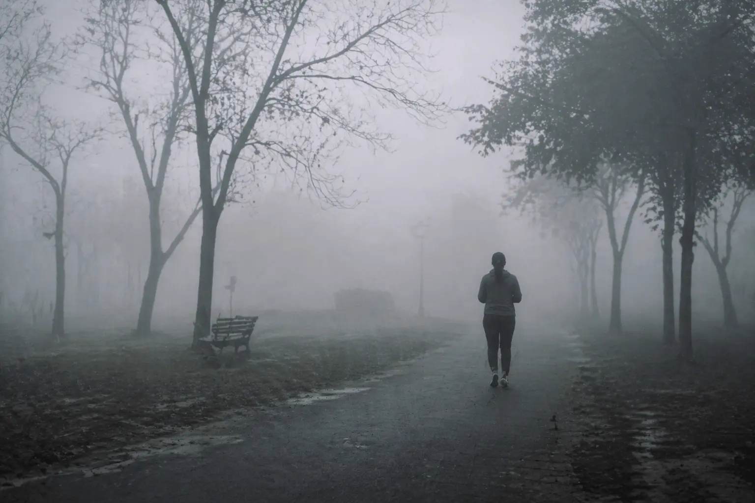 The Invisible Weight A Walk Through Toxic Haze