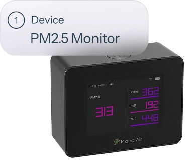 PM1