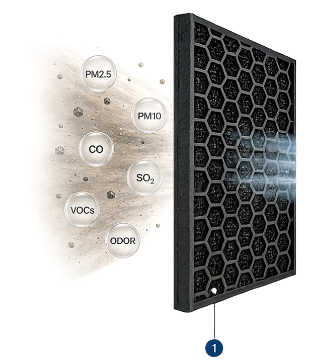 Carbon Layer