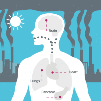 air pollution affects you health
