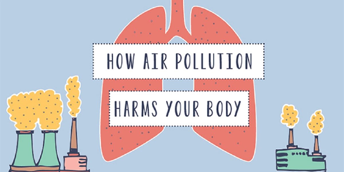 how air pollution affects your health