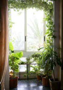 indoor air pollution