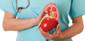 kidney damages