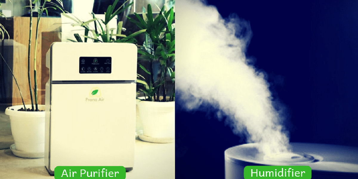 Air Purifier vs. Humidifier