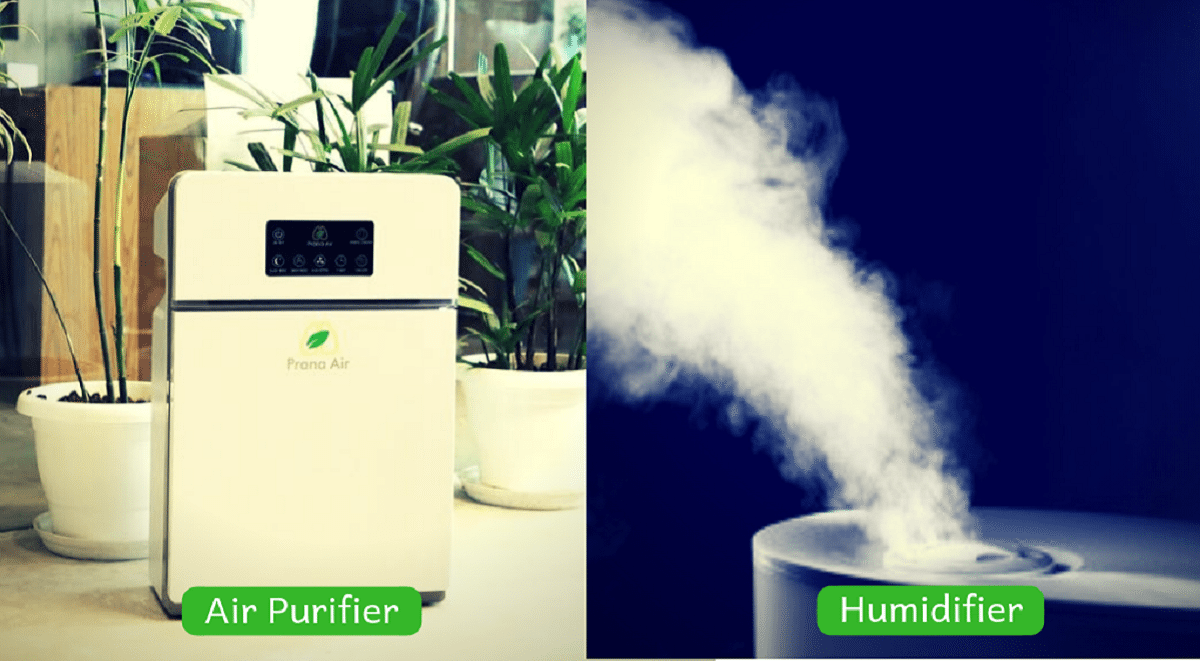 Air Purifier vs. Humidifier