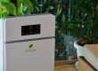 prana air purifiers