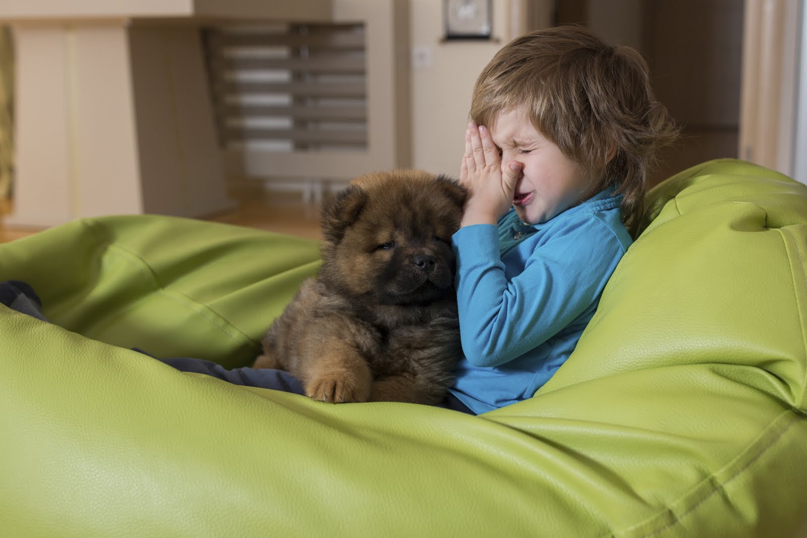 Best Way to Remove Pet Odor