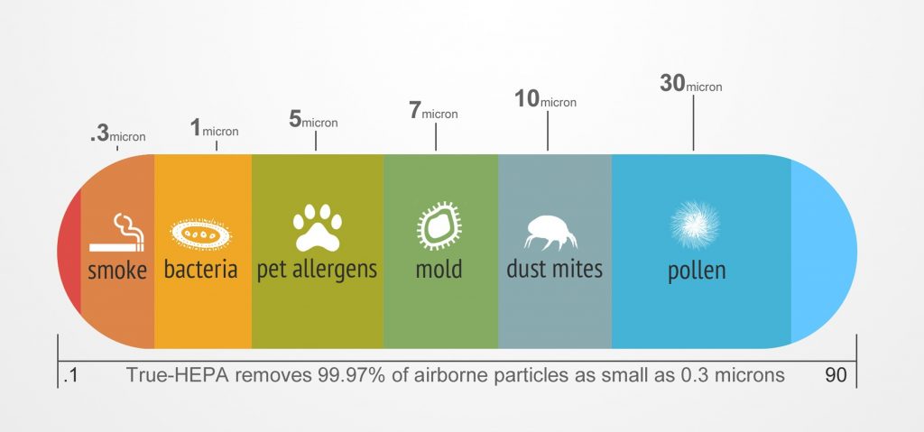 Air Purifiers Kill Dust Mites