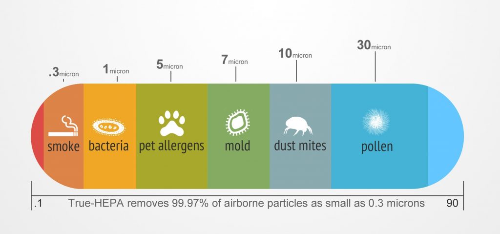 Фильтры HEPA в очистителях воздуха убивают клещей