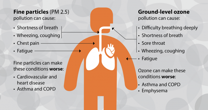 Effects of Air Pollutants
