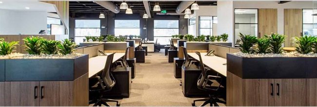 Indoor Air Quality: Plants in The Office Increase Productivity