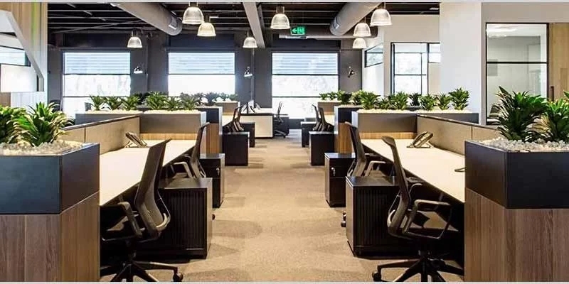 Indoor Air Quality: Plants in The Office Increase Productivity