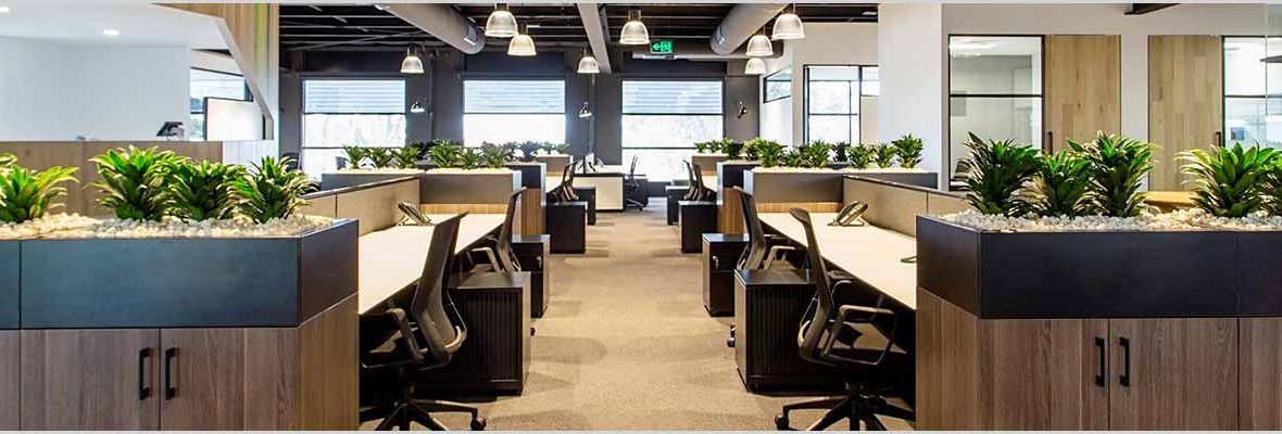 Indoor Air Quality: Plants in The Office Increase Productivity