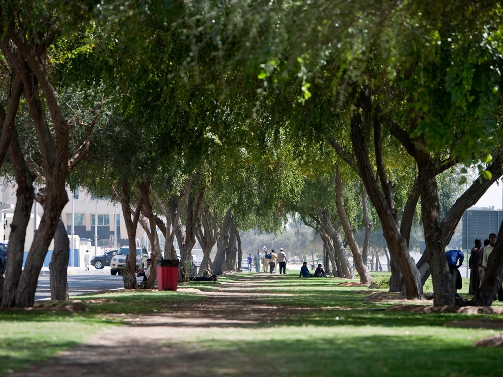 reduce air pollution in cities