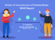 Modes of transmission of Corona Virus