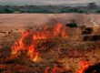 Air pollution due to stubble burning