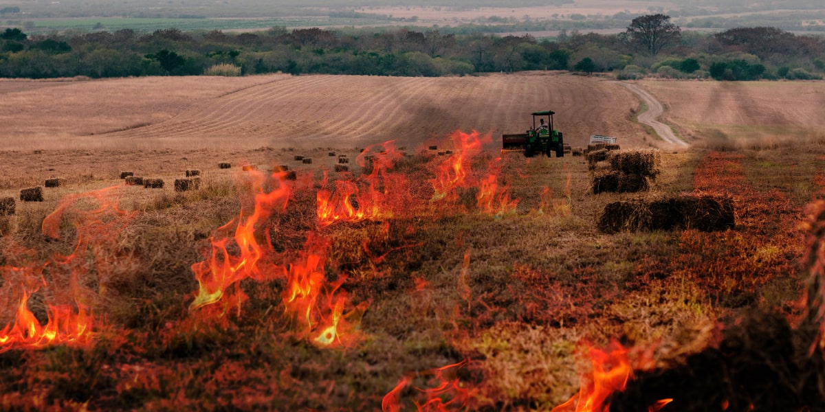 Air pollution due to stubble burning