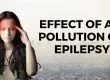 Effect of Air Pollution on Epilepsy