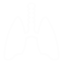 lungs icon