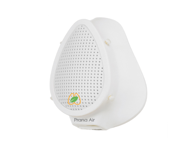 prana air n95 mask online