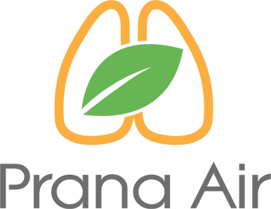 Prana Air logo