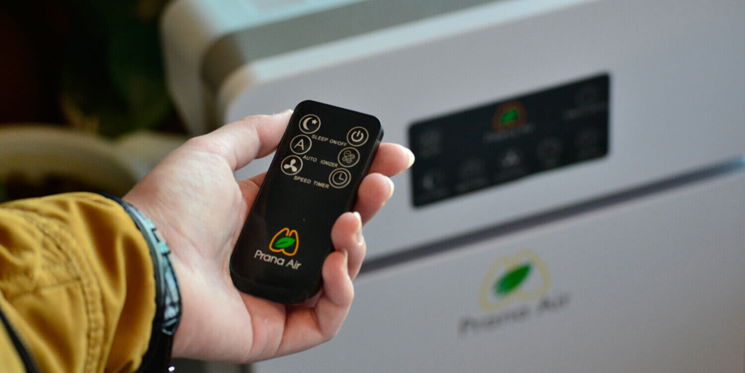 prana air purifier remote controller