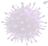 germs icon