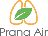 logo pranaair