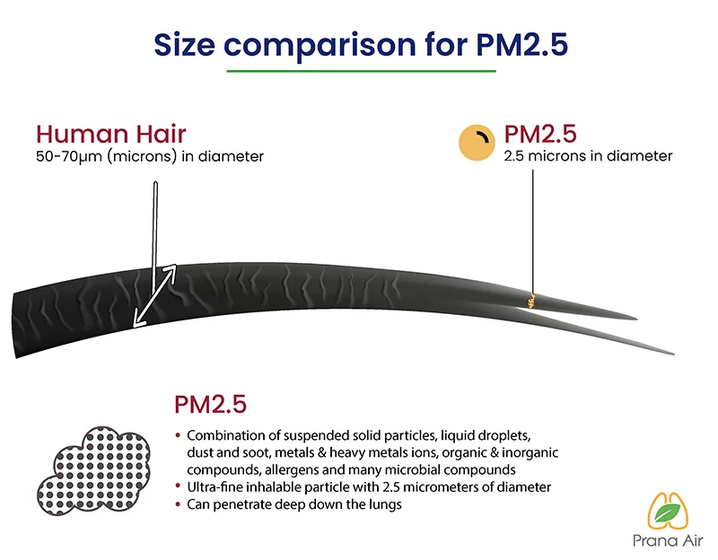 size of pm2.5