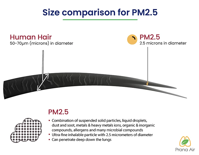 What is PM2.5 particulate matter?